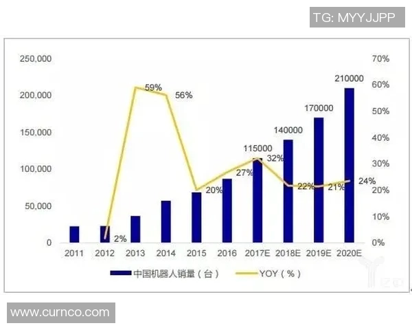 西安篮球队运营分析：成功经验与面临挑战的深度探讨