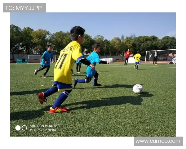 未来足球的演变与发展趋势探讨及其对全球体育文化的影响